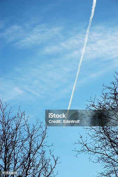 Samolot Contrail - zdjęcia stockowe i więcej obrazów Biznes - Biznes, Drzewo, Dwutlenek węgla