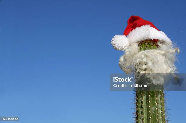 Photo libre de droit de Santa Cactus banque d'images et plus d'images libres de droit de Noël - Noël, Arizona, Cactus