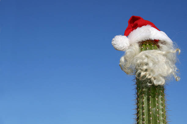 Santa Cactus stock photo