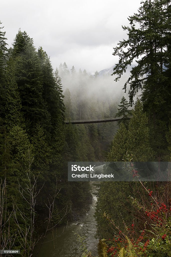 Capilano-Hängebrücke - Lizenzfrei Capilano-Brücke Stock-Foto