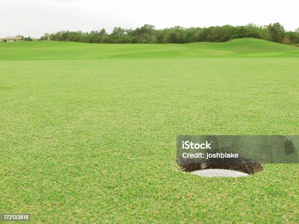 Green De Golf Foto de stock y más banco de imágenes de Agujero - Agujero, Aire libre, Campo - Tierra cultivada