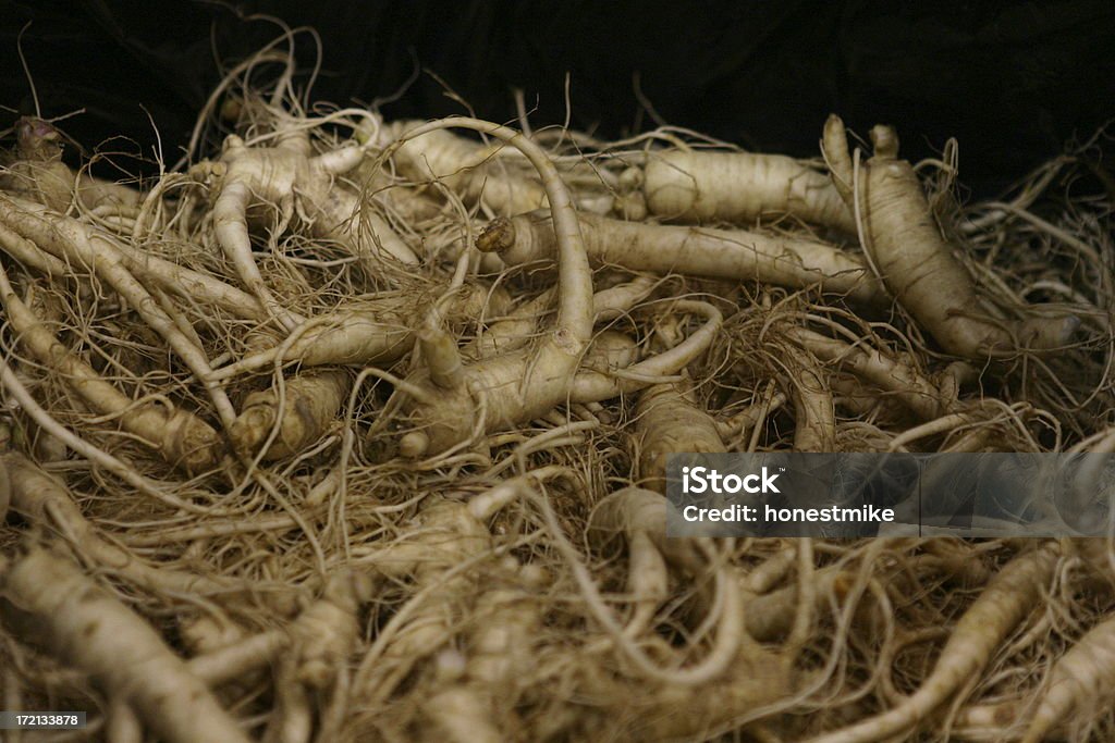 Ginseng américaine fraîche - Photo de Ginseng libre de droits