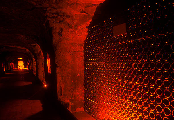 Wine cellar stock photo