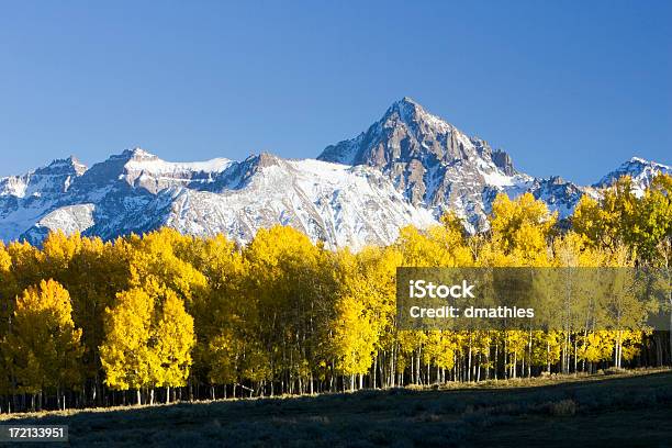 Photo libre de droit de Aspen Stand Avant Mont Sneffels banque d'images et plus d'images libres de droit de Automne - Automne, Beauté de la nature, Colorado