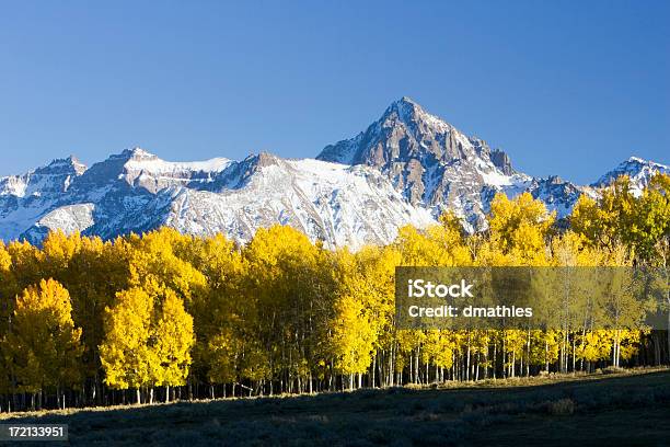 Aspen Stand Prima Di Mount Sneffels - Fotografie stock e altre immagini di Ambientazione esterna - Ambientazione esterna, Ambientazione tranquilla, Autunno
