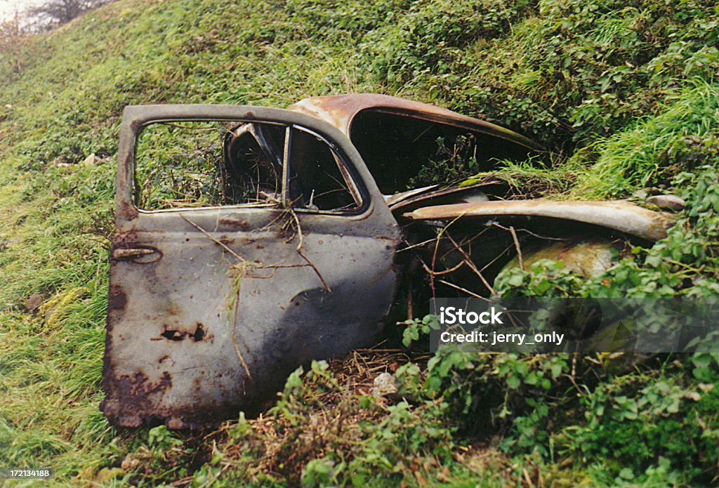 Nature is coming back an old VW Beatle getting back to nature Car Stock Photo