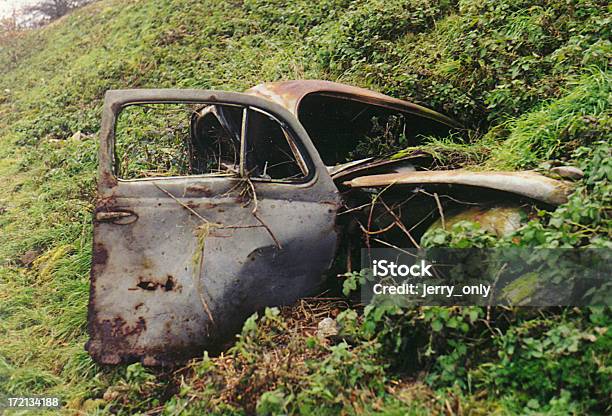 Nature Is Coming Back Stock Photo - Download Image Now - Car, Environment, Horizontal