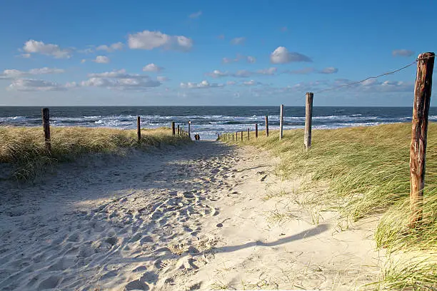 A path leading to the beach.