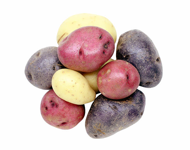 ziemniaki - red potato raw potato isolated vegetable zdjęcia i obrazy z banku zdjęć