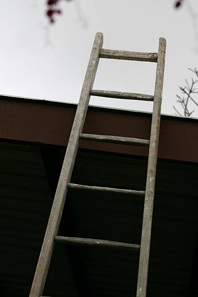 istock looking up old wooden ladder 172134899