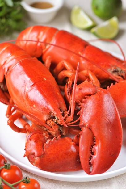 istock Two whole boiled lobsters with spices and lime slices 1721395504
