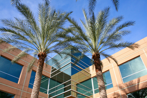 Elite business complex in Scottsdale AZ with blue glass and palm trees on a clear sunny day low angle view nobody