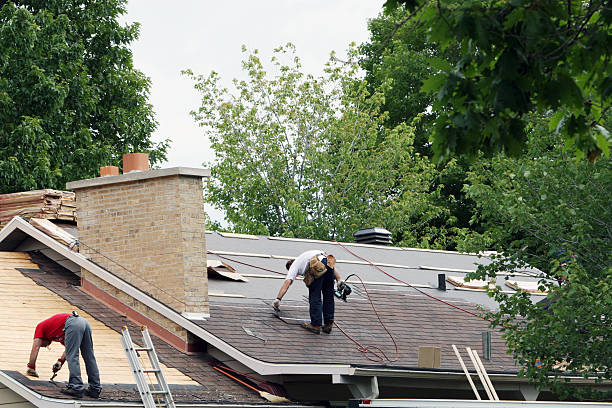 New roof! Men installing a new roof on a house. wood shingle photos stock pictures, royalty-free photos & images