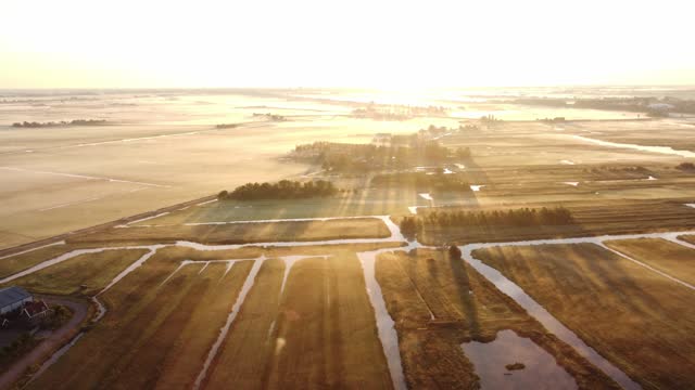 Golden rays of the morning sun reveal the beauty of Dutch nature. Zaandijk, Netherlands. 4k video