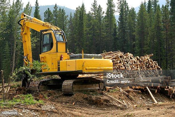 Registrazione 5 - Fotografie stock e altre immagini di Foresta - Foresta, Pala meccanica, Industria forestale