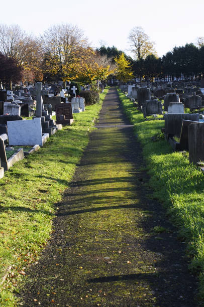 istock Long lichen covered path in a churchyard 172141143