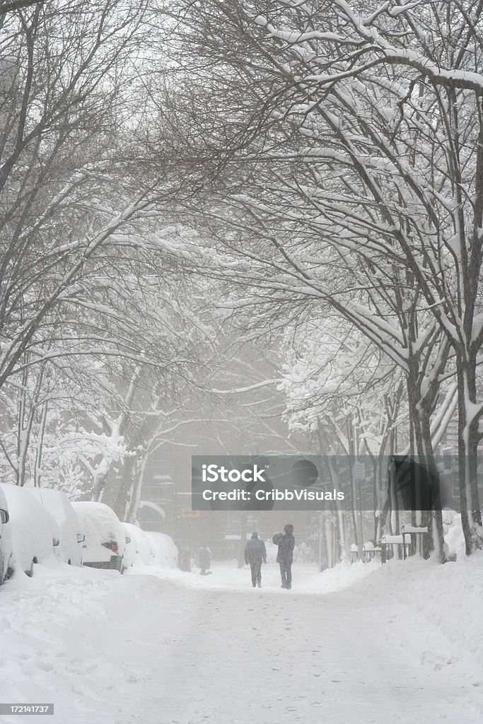 Brooklyn, New York City Schnee Sturm Street - Lizenzfrei Biegung Stock-Foto