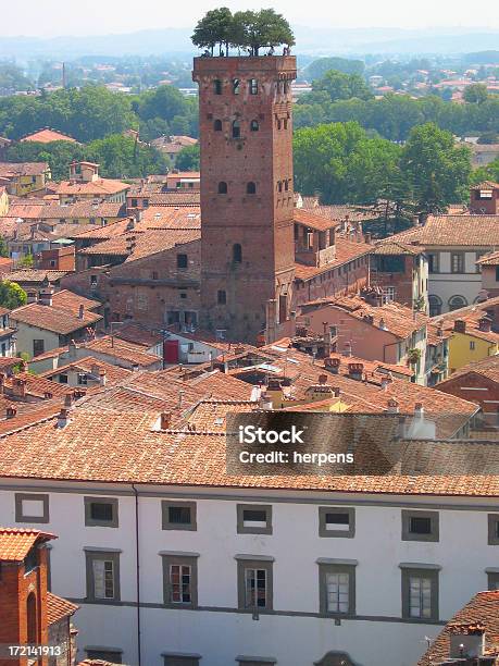 Torre Com Oaks - Fotografias de stock e mais imagens de Carvalho - Carvalho, Casa, Cidade