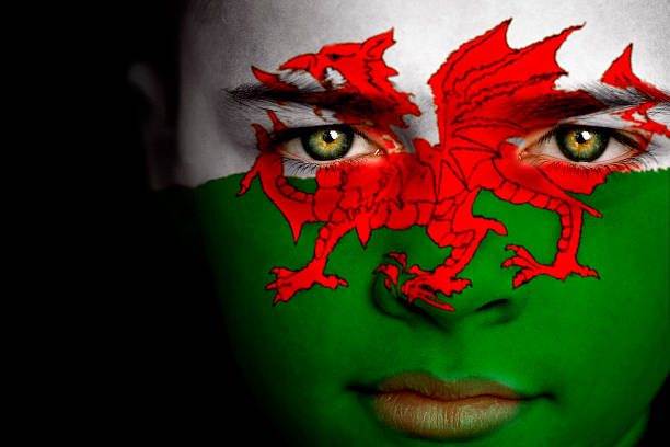 вельш-мальчик - welsh culture wales welsh flag dragon стоковые фото и изображения