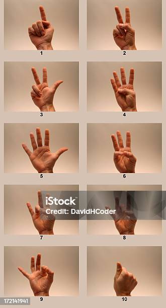Język Migowy Numery - zdjęcia stockowe i więcej obrazów Amerykański język migowy - Amerykański język migowy, Część, Część ciała zwierzęcia