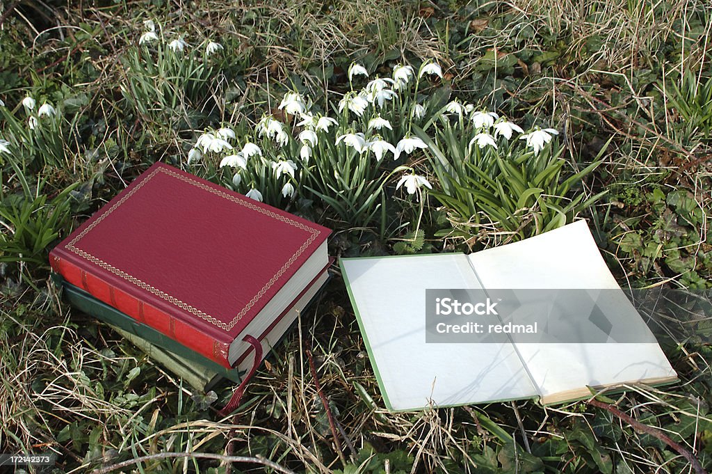 Libros y snowdrops solicitud - Foto de stock de Abierto libre de derechos