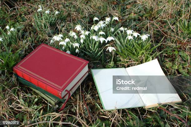 Libros Y Snowdrops Solicitud Foto de stock y más banco de imágenes de Abierto - Abierto, Abrir, Aire libre