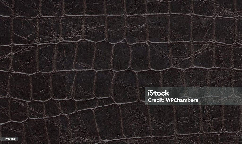 Tessuto in alligatore nero - Foto stock royalty-free di Abbigliamento
