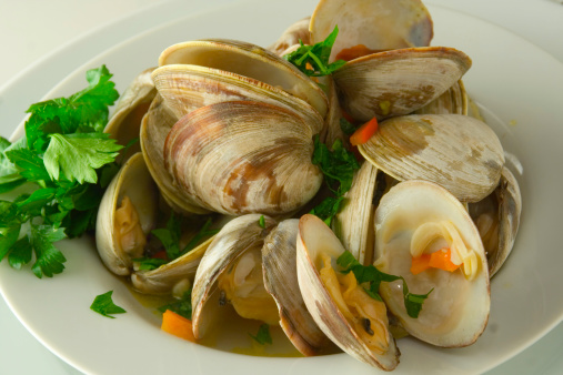 An appetizer or tapas of littlenecks clams cooked in white wine and garlic and served with parsley garnish on a white plate. Still life of a Mediterranean gourmet shellfish seafood dish.