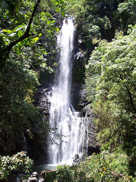 istock Wailua Falls, Hana, Maui, Hawaii 172143359