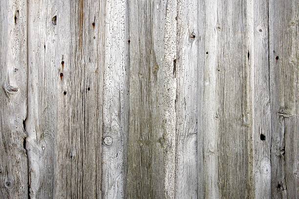 Termite eaten wall stock photo