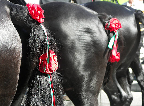 Rome, Italy - February 17, 2015: Tambourines from the Italian Army's band, playing while riding horses through Carnevale Romano 2015's parade. 