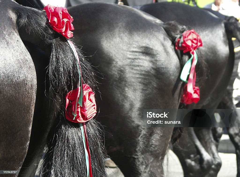 Caudas com fitas e rosas - Royalty-free Cavalo - Família do Cavalo Foto de stock
