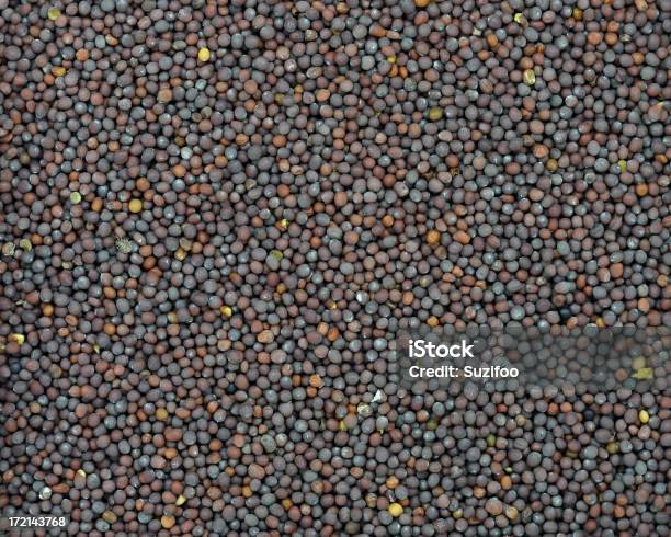 Foto de Semente De Mostarda Integral e mais fotos de stock de Comida - Comida, Comida Desidratada, Comida e bebida