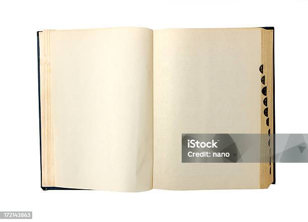 Blank Dictionary Stock Photo - Download Image Now - Dictionary, Page, Blank