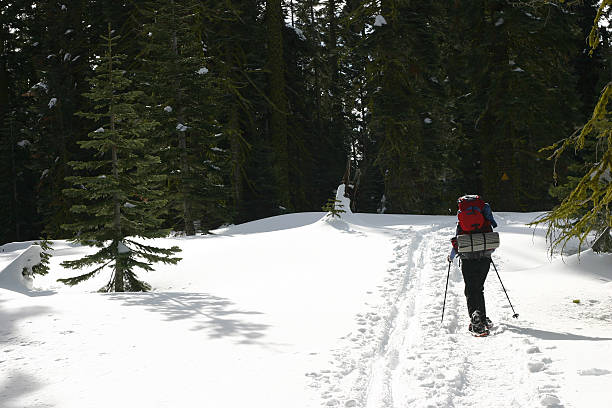 dewey punto trail - yosemite national park winter waterfall california fotografías e imágenes de stock