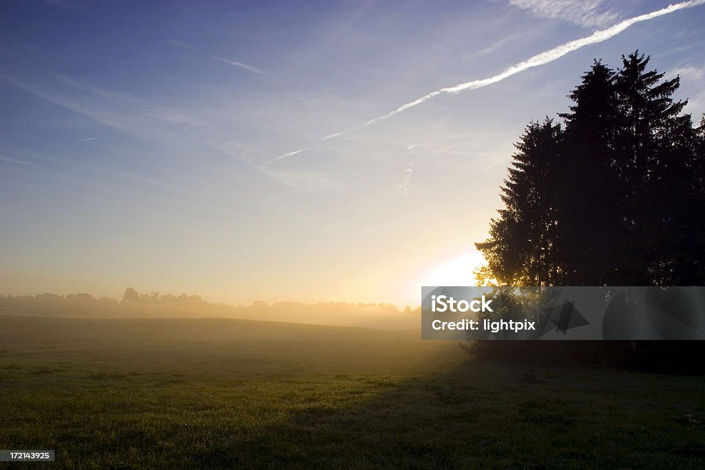 foggy sunrise with tree foggy autumn sunrise with sunbeam Autumn Stock Photo