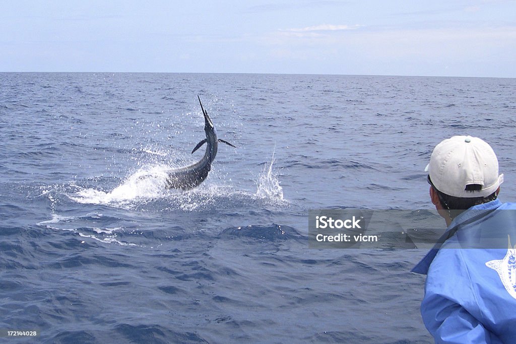 Agulhão Vela em - Foto de stock de Agulhão Vela royalty-free