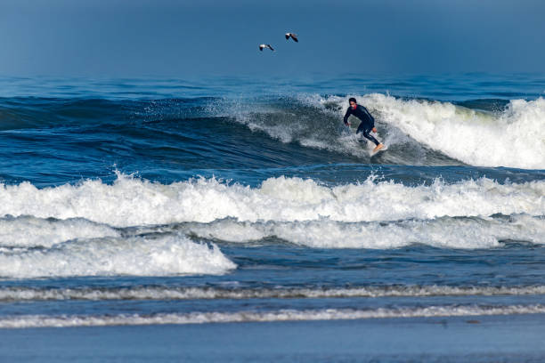 istock Surfer riding waves in Furadouro Beach 1721440429