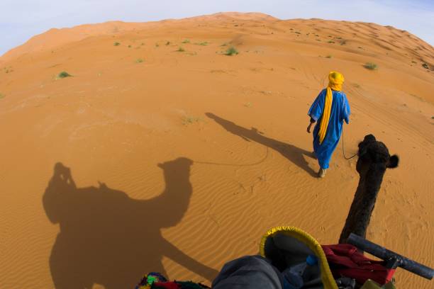 istock Nomad leading a camel, Sahara desert, Morocco 172144250
