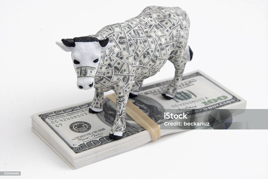 Cash Cow on pile of $ Money Bills Cow covered in small $100 bills standing on pile of cash. White background with shallow depth of field. Cash Cow Stock Photo