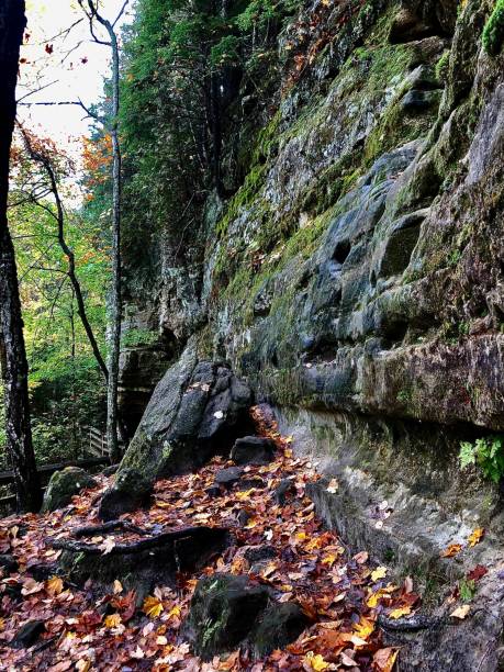 istock Pictured Rocks National Lakeshore 1721445299
