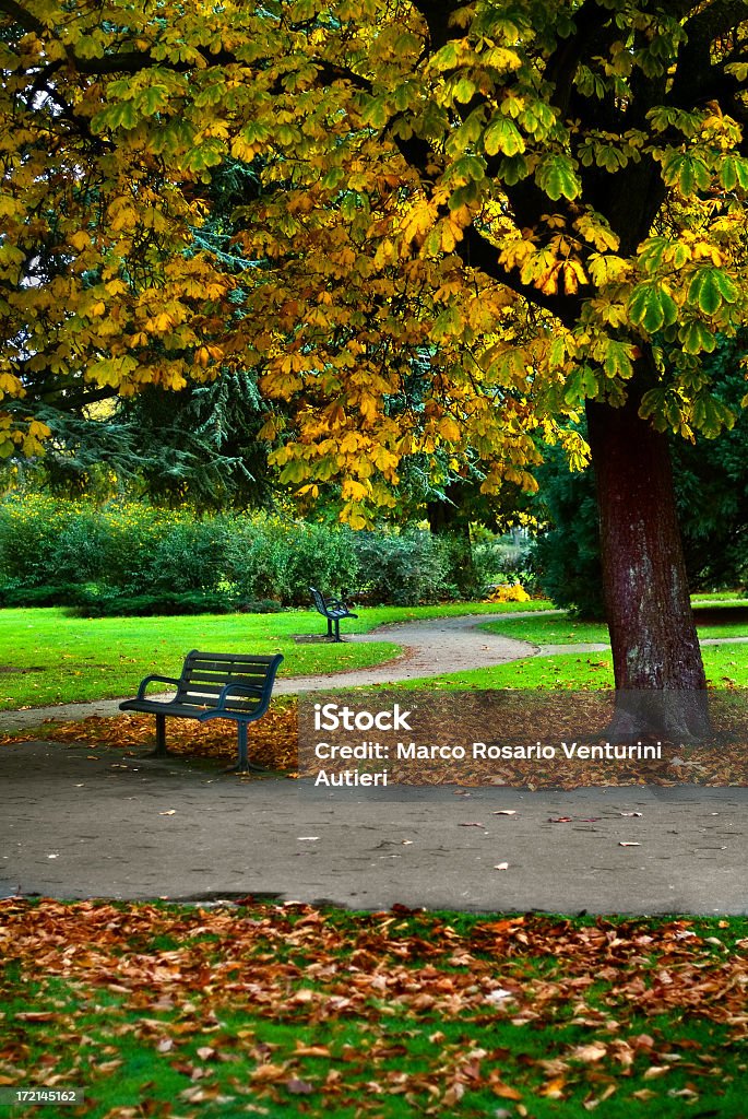 秋の公園のベンチの小道 - パークベンチのロイヤリティフリーストックフォト