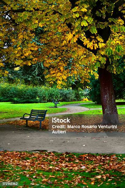 추절 파크벤치 있는 보행자로 가을에 대한 스톡 사진 및 기타 이미지 - 가을, 공원, 공원 벤치