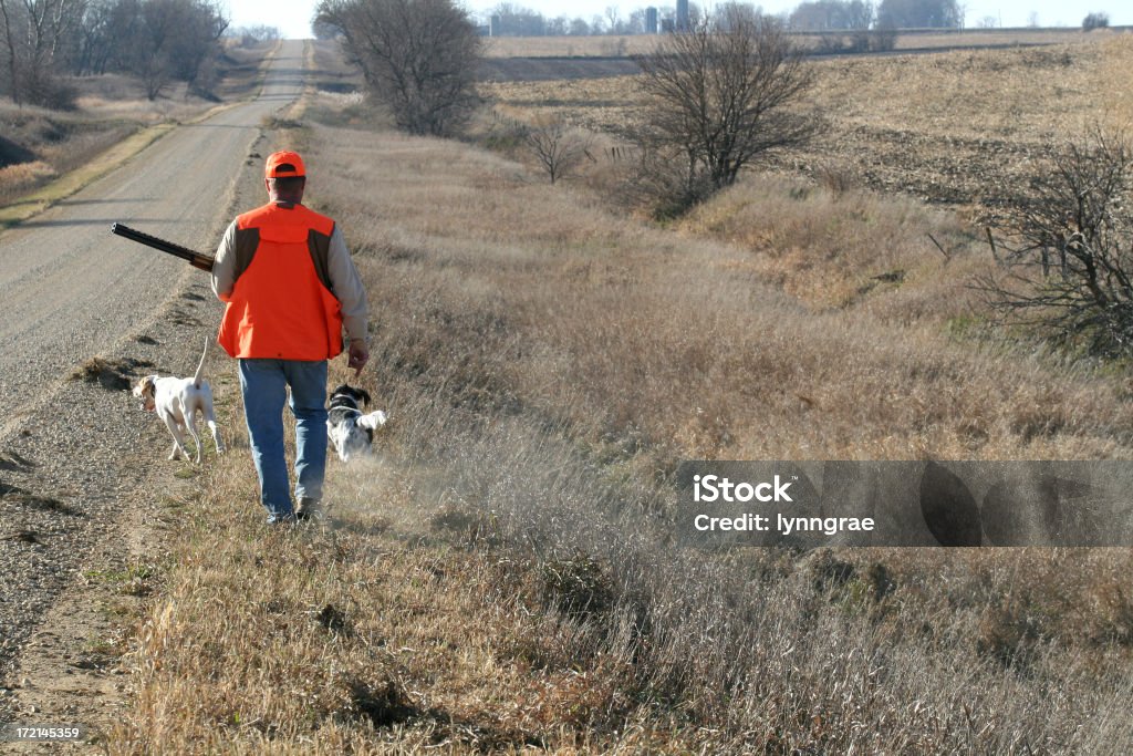 Охотник, идущие канава-Pheasant сезон - Стоковые фото Охота роялти-фри