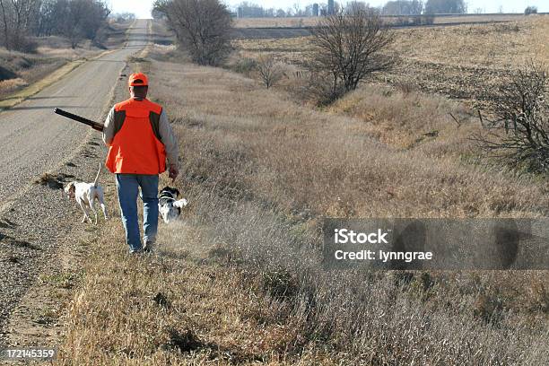 Охотник Идущие Канаваpheasant Сезон — стоковые фотографии и другие картинки Охота - Охота, Охотник, Айова