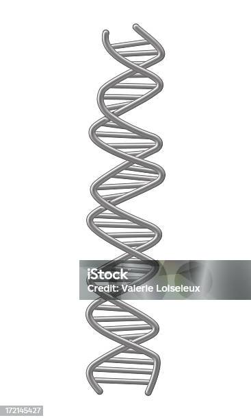 Dna Stockfoto und mehr Bilder von Aluminium - Aluminium, Bildung, Biochemie