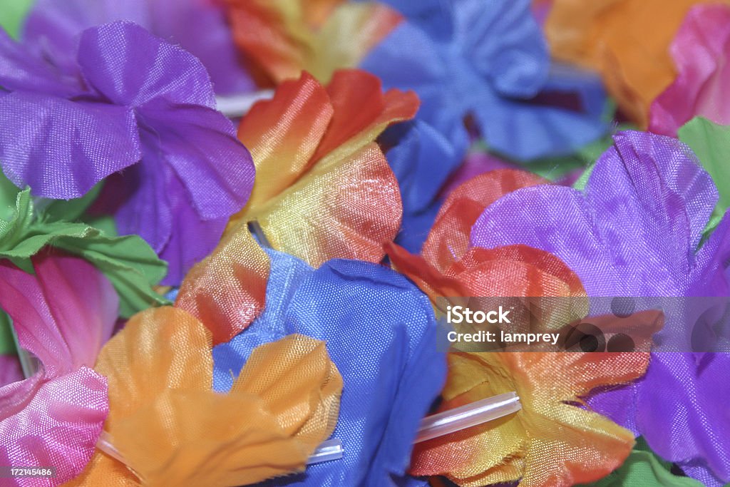 Nahaufnahme der lei-Blumen - Lizenzfrei Big Island - Insel Hawaii Stock-Foto