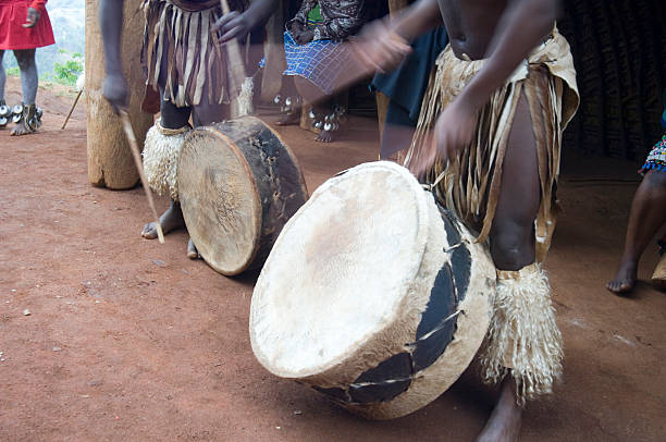 zulu dançarinos - south africa africa zulu african culture imagens e fotografias de stock