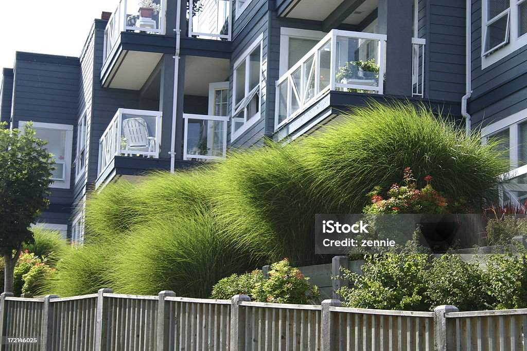 Paysage avec herbe - Photo de Herbe ornementale libre de droits