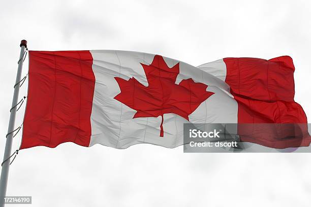 Flaga Kanady - zdjęcia stockowe i więcej obrazów Biały - Biały, Czerwony, Dzień Kanady